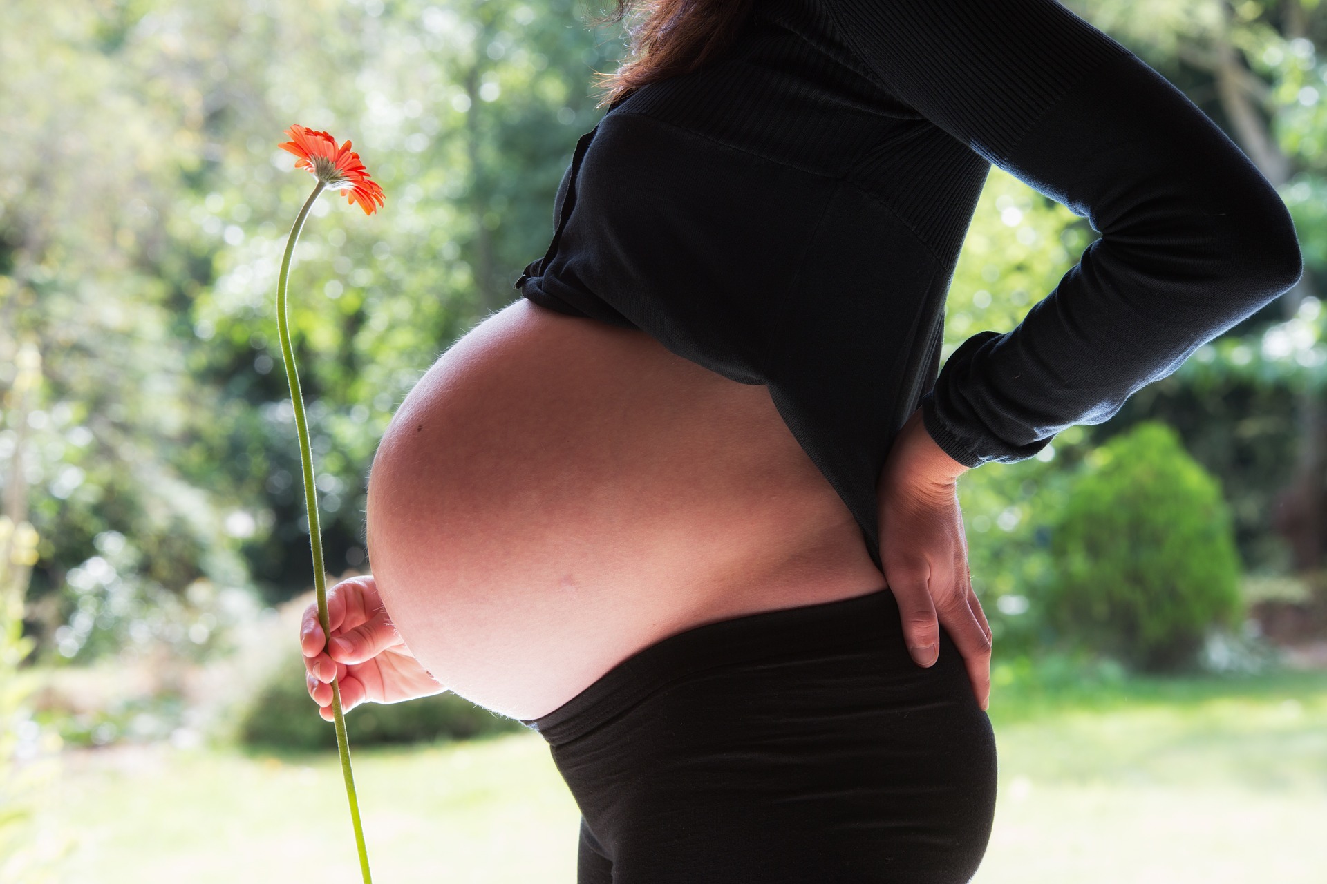 gravidanza nascita genitori mamme maternità percorso